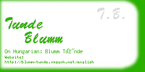 tunde blumm business card